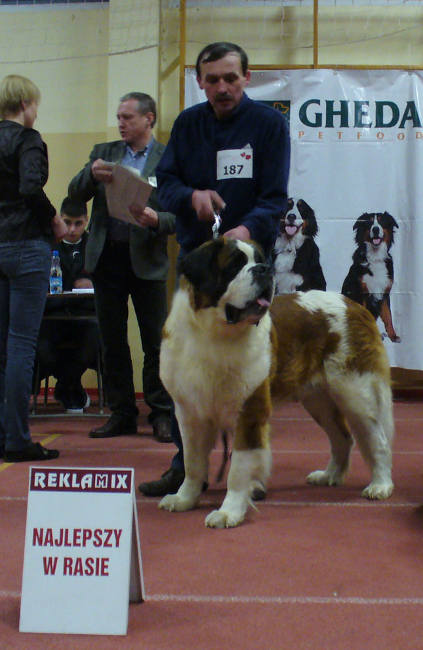 Niko Pałucki Przejar