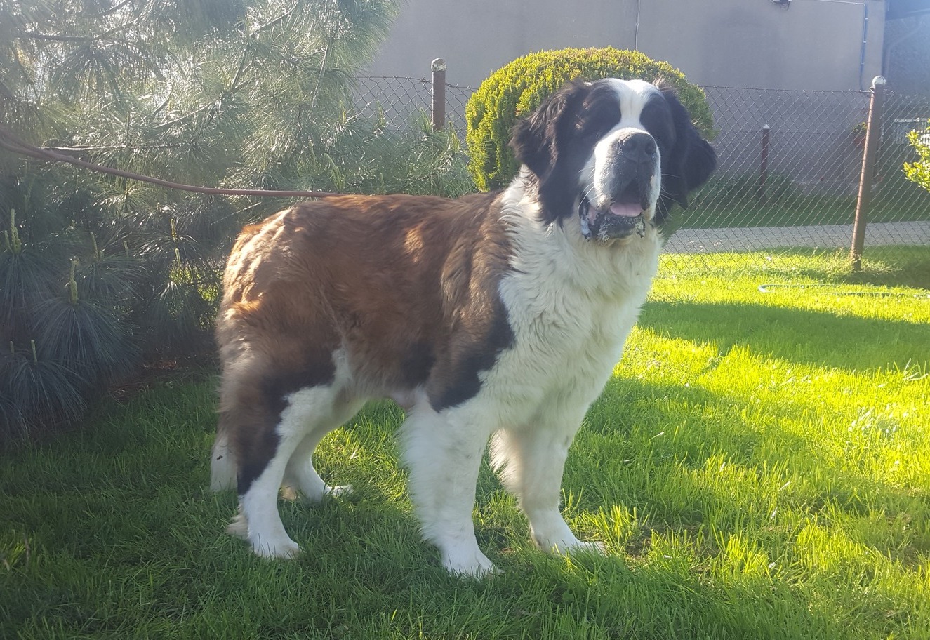 Lara Pałucki Przejar