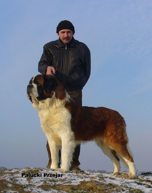 Yago Pałucki Przejar